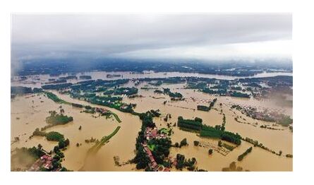 南方多地洪水让葡萄园农户惨遭洪水该如何补救！